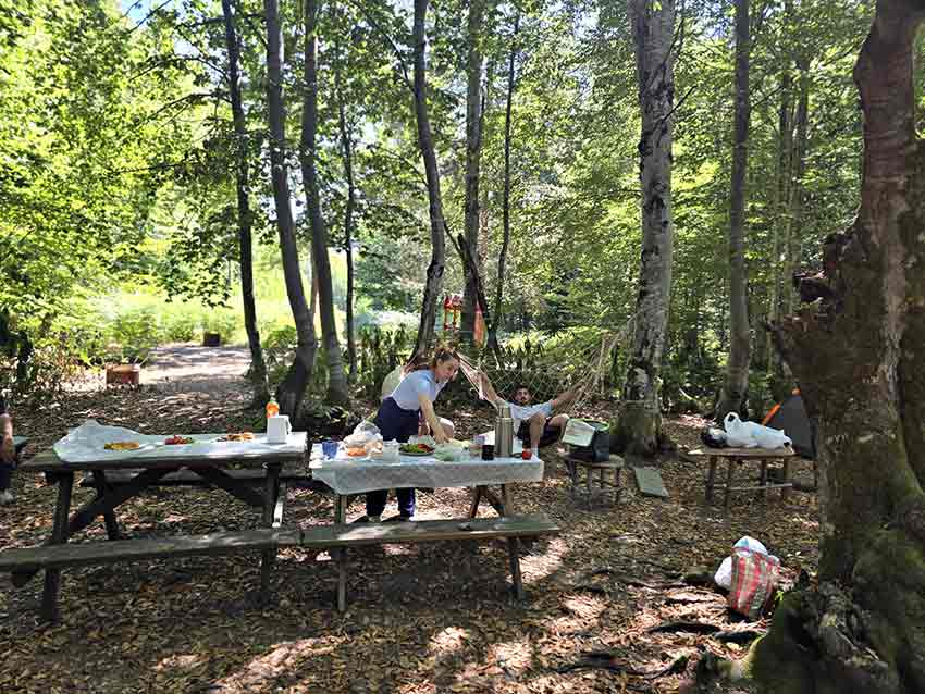 Whats App Image 2025 08 11 At 16.30.28