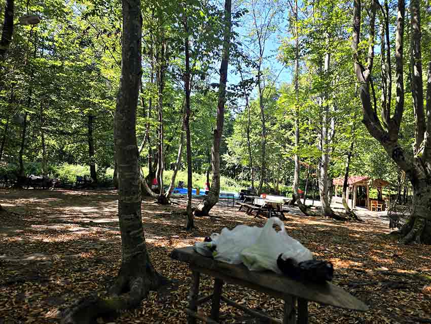 Whats App Image 2025 08 11 At 16.30.29