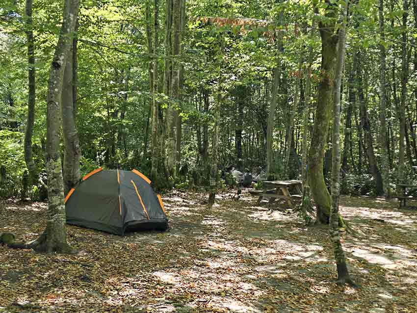 Whats App Image 2025 08 11 At 16.30.30