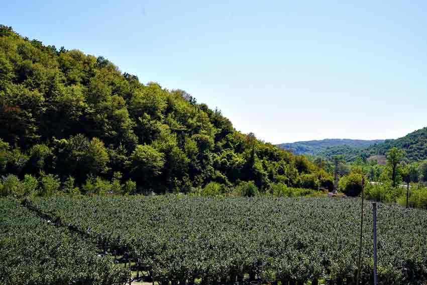 Whats App Image 2025 08 12 At 13.49.35 (1)