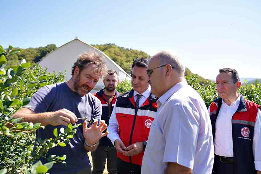 Whats App Image 2025 08 12 At 13.49.35 (4)