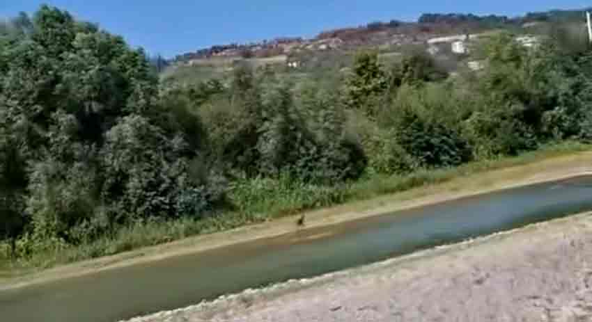 Whats App Image 2025 08 14 At 17.05.58