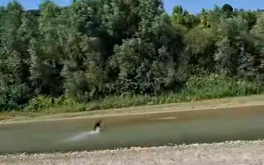 Whats App Image 2025 08 14 At 17.05.59 (1)