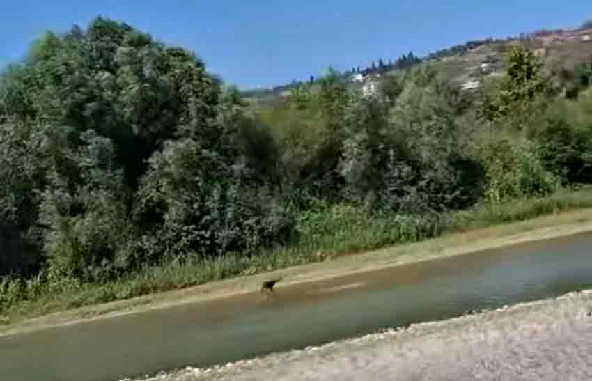 Whats App Image 2025 08 14 At 17.05.59