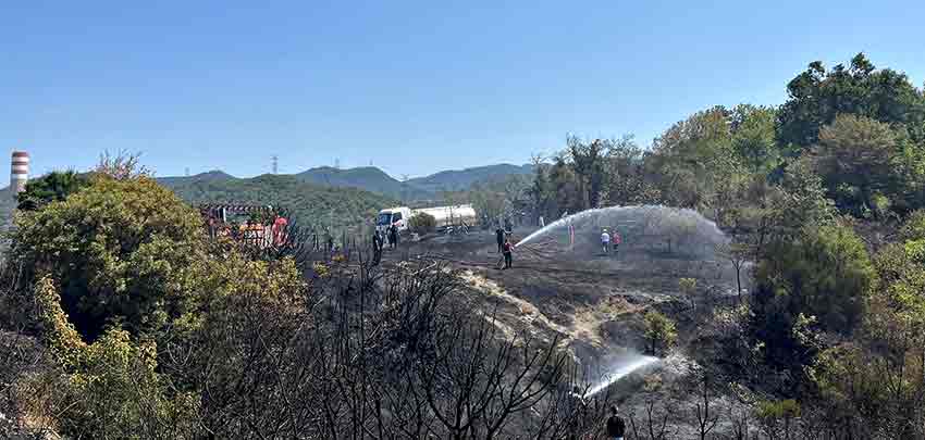 Whats App Image 2025 08 15 At 13.03.23 (1)