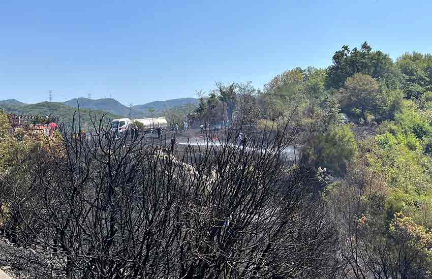 Whats App Image 2025 08 15 At 13.03.23 (2)