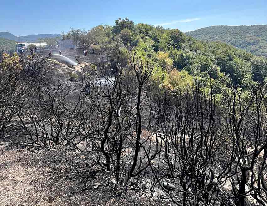 Whats App Image 2025 08 15 At 13.03.23 (3)