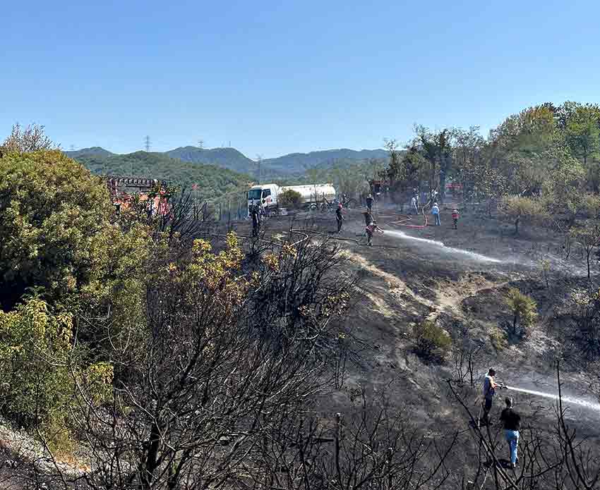 Whats App Image 2025 08 15 At 13.03.23