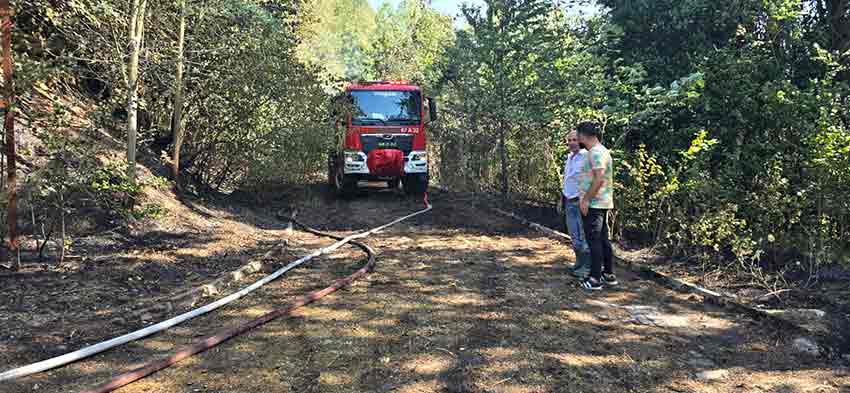 Whats App Image 2025 08 15 At 15.59.24