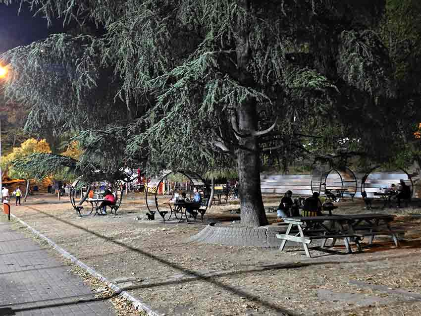 Whats App Image 2025 08 17 At 11.17.03