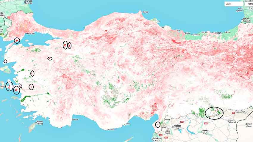 Whats App Image 2025 08 19 At 14.52.39