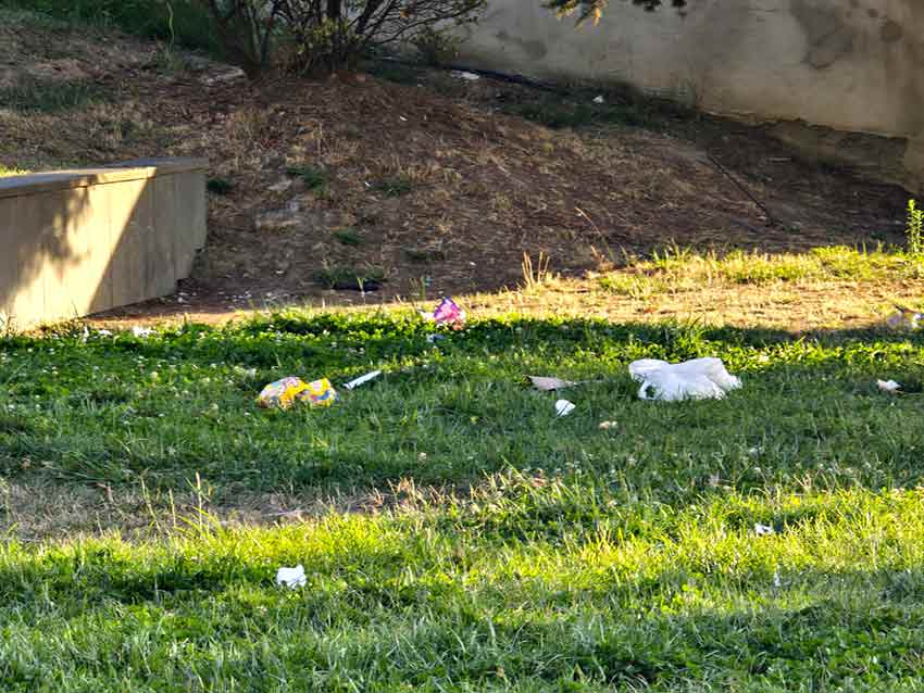 Whats App Image 2025 08 20 At 10.59.26 (1)