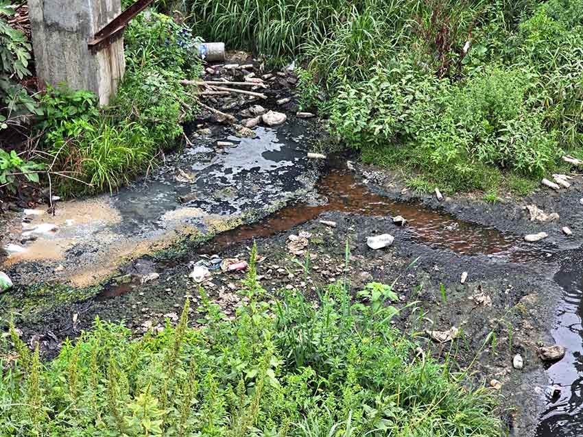 Whats App Image 2025 08 21 At 10.21.12 (3)