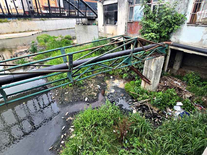 Whats App Image 2025 08 21 At 10.21.13