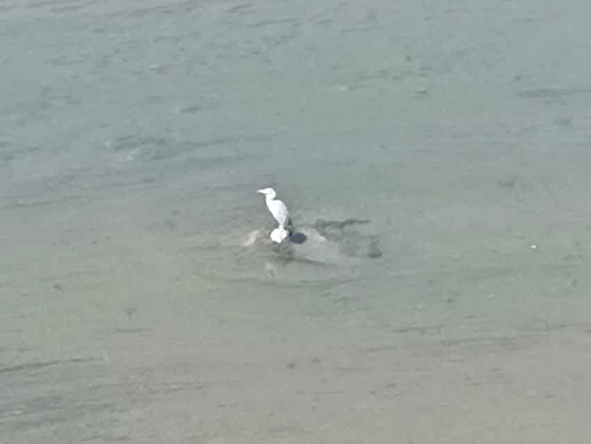 Whats App Image 2025 08 22 At 11.22.15 (1)