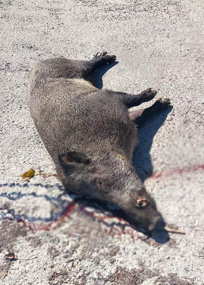 Whats App Image 2025 08 27 At 11.02.00 (1)