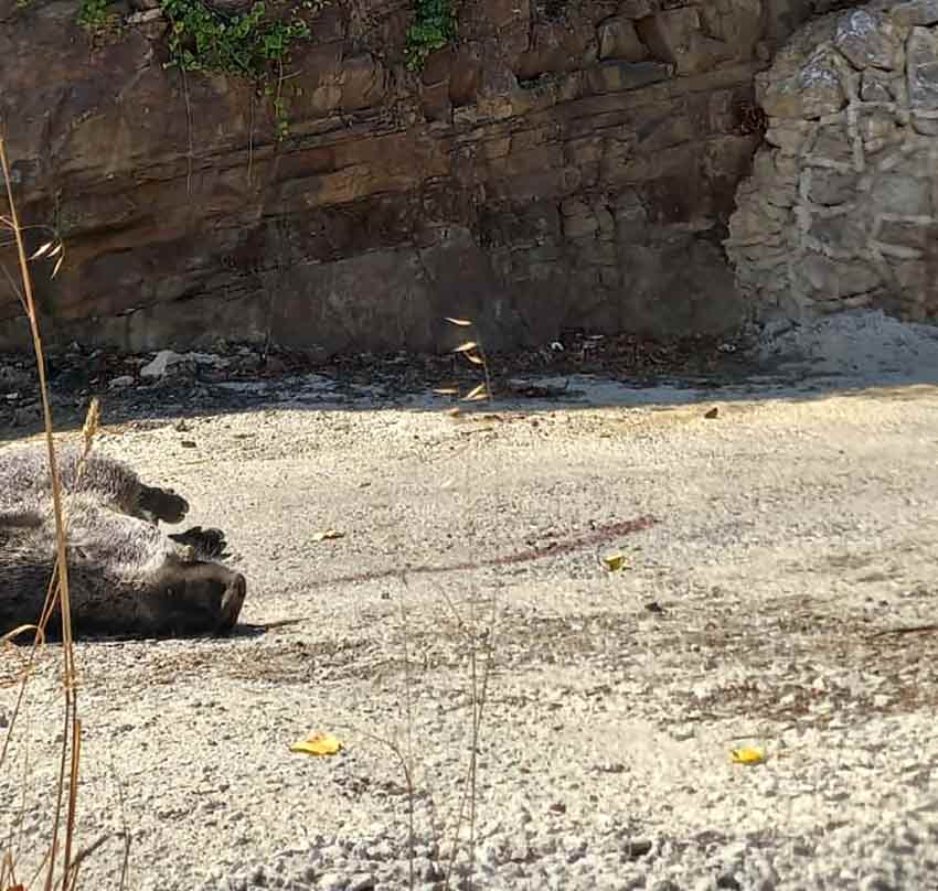 Whats App Image 2025 08 27 At 11.02.00 (2)