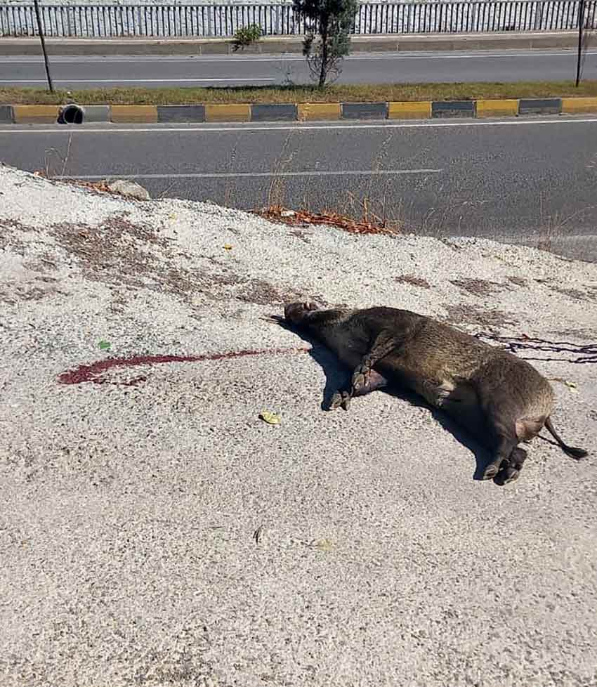 Whats App Image 2025 08 27 At 11.02.00