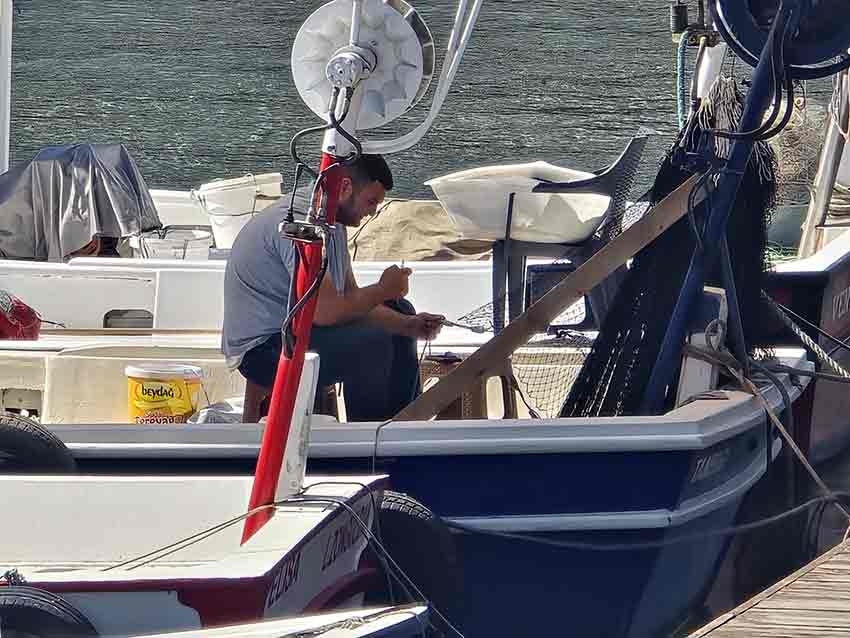 Whats App Image 2025 08 31 At 14.27.45