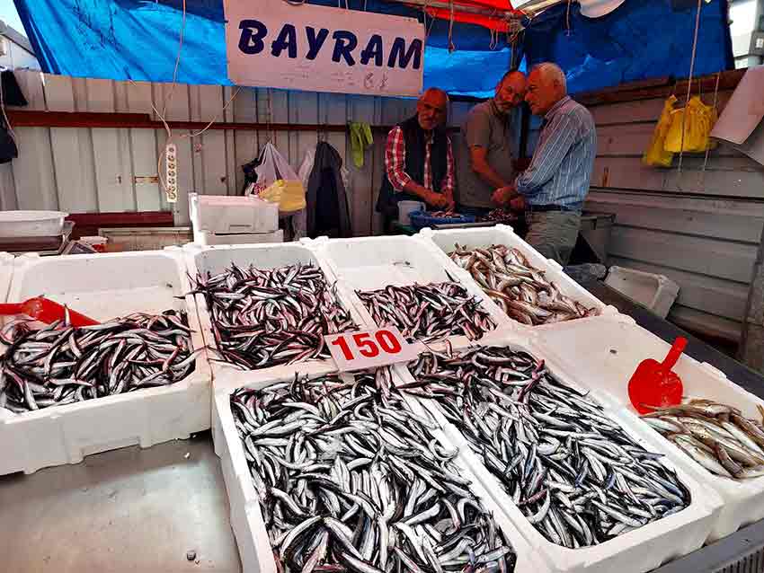 24F7B14E 5A46 40Bd 905F Ddfb4A2Fc5Fd