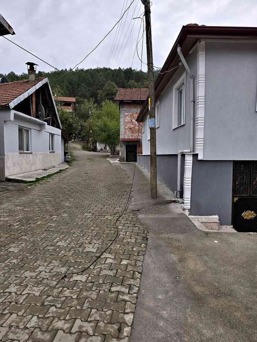 374823Ca B3E9 46D6 A641 B56A7Ee913Fc