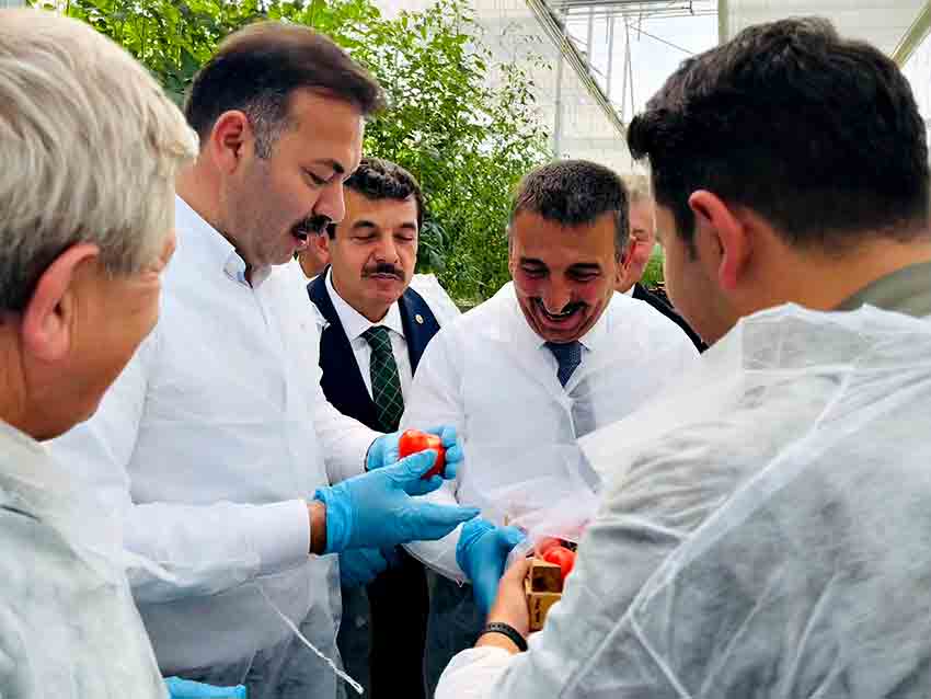 547753563 10232636164301304 3096259125558940643 N