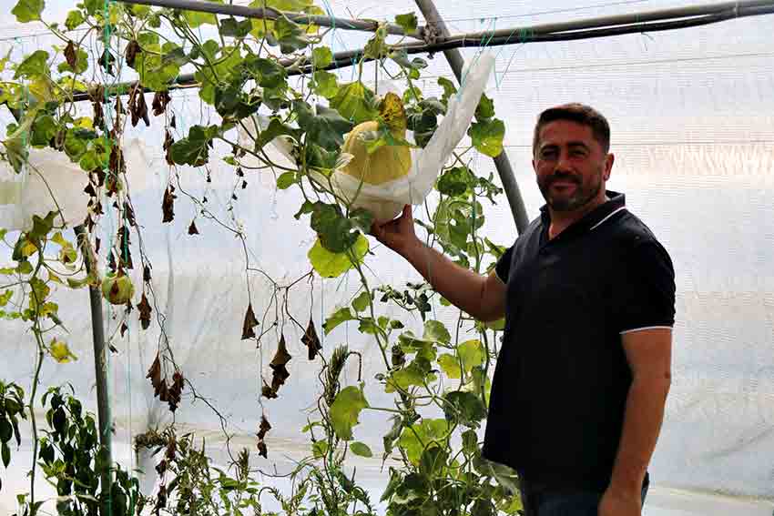 549156094 1089123713263124 7782692392705419168 N