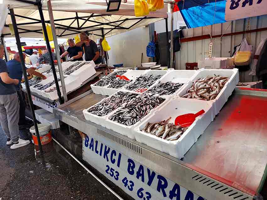 96Bdc36F 4Eea 46A7 9780 7Fe00000Ed72