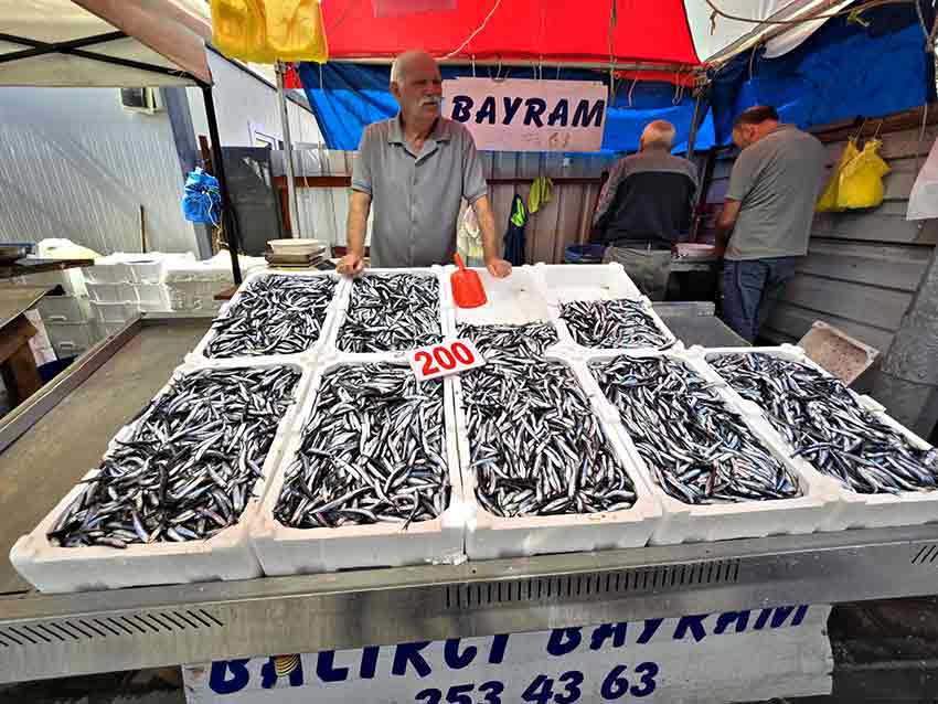 Hamsi Fiyatlarını Fırtına Vurdu (1)