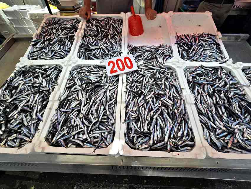 Hamsi Fiyatlarını Fırtına Vurdu (2)