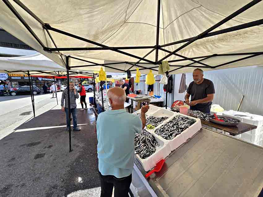 Hamsi Fiyatlarını Fırtına Vurdu (4)