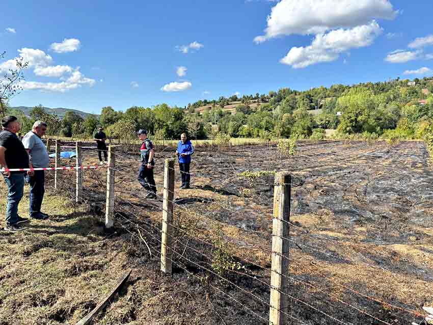 T A R L A D A Y A K T I G I A N I Z A T E S I N I S O N D U R M E Y E 911715 270927