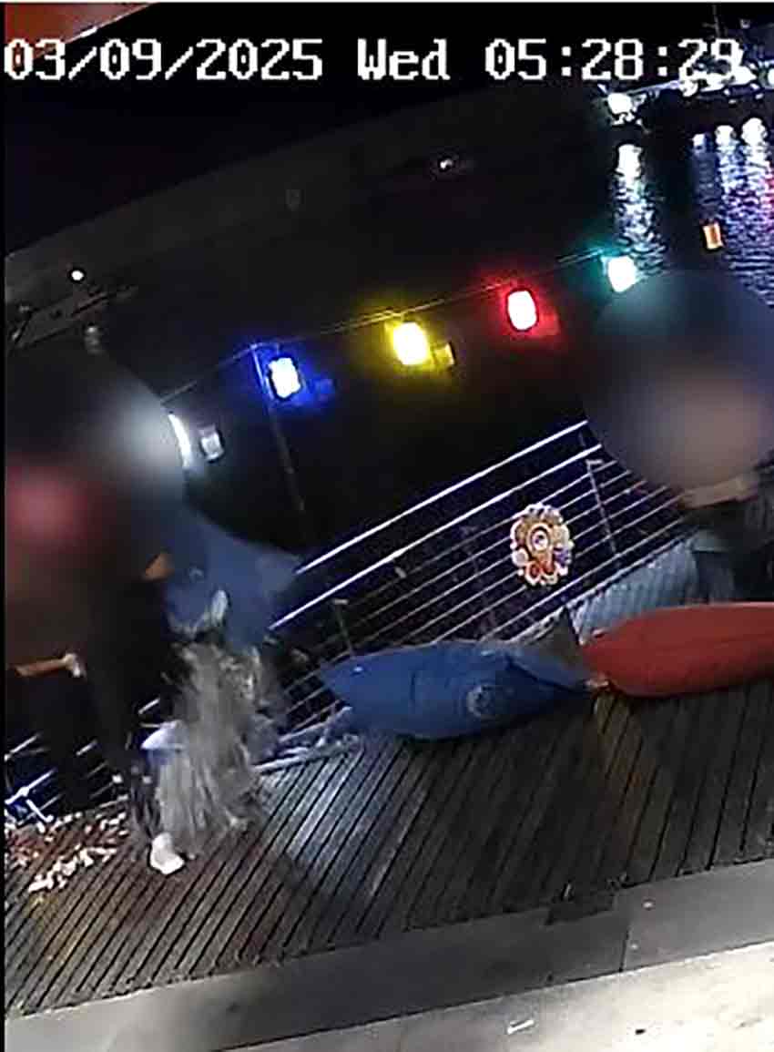 Vitamin Bara Saldırı 2