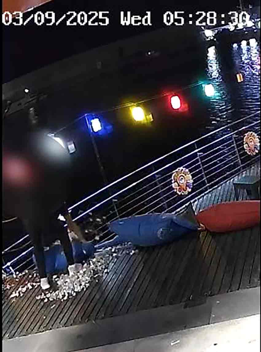 Vitamin Bara Saldırı