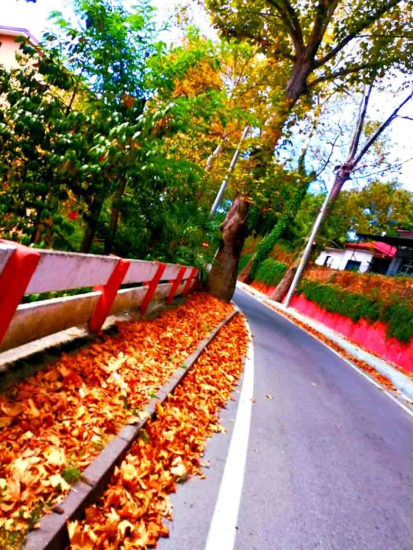 Whats App Image 2025 09 02 At 12.20.38