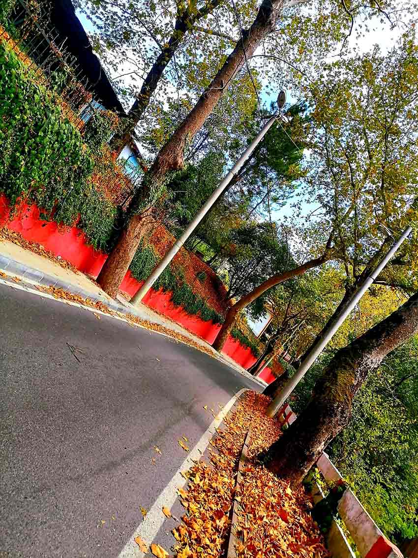 Whats App Image 2025 09 02 At 12.20.39 (1)