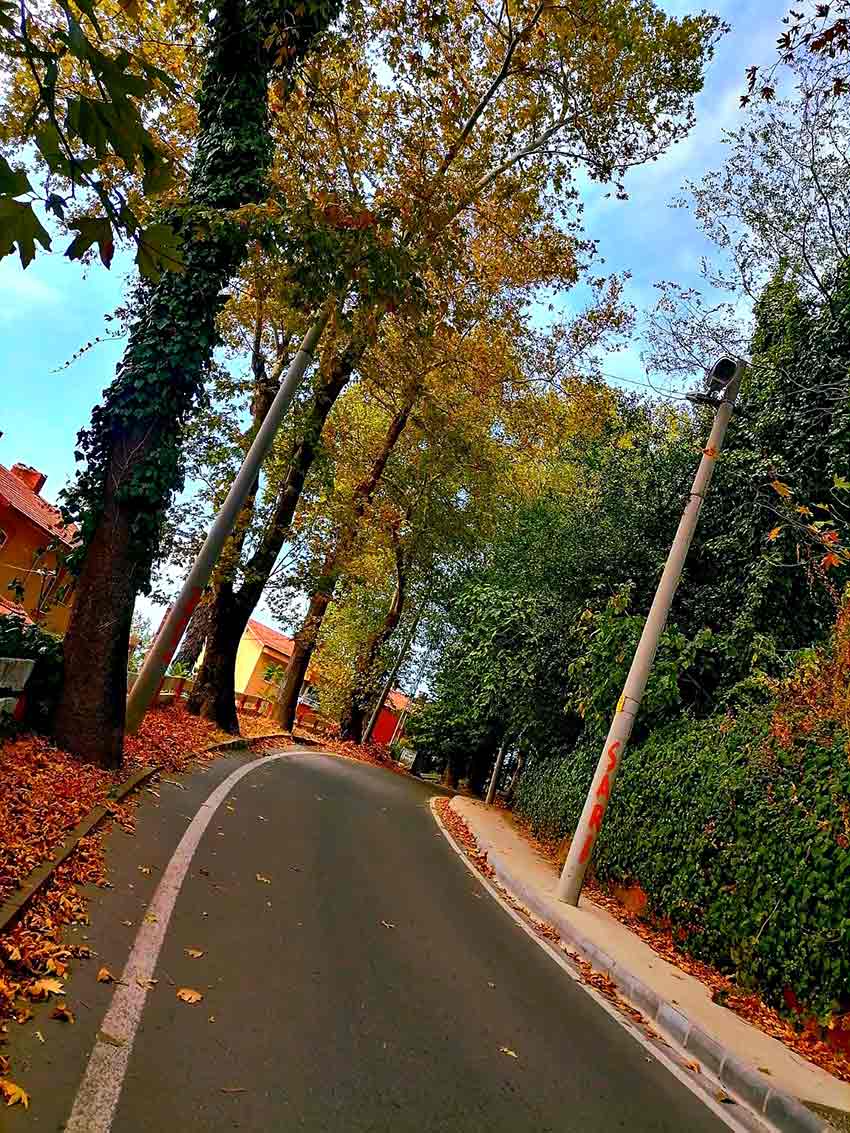 Whats App Image 2025 09 02 At 12.20.39