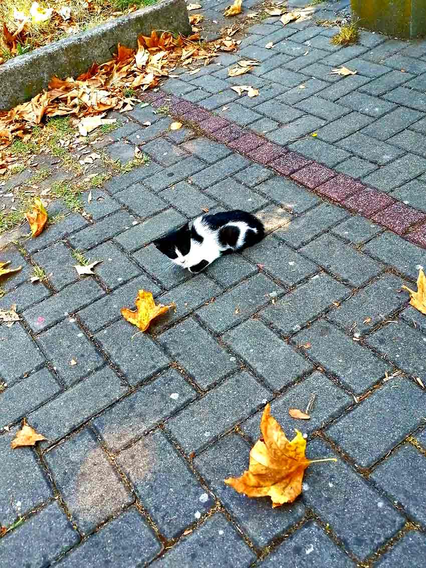 Whats App Image 2025 09 02 At 12.20.40