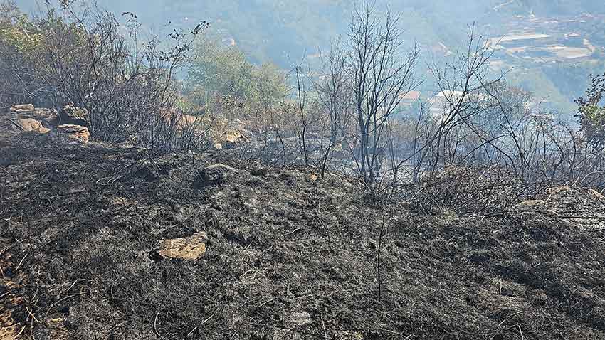 Whats App Image 2025 09 03 At 15.54.49