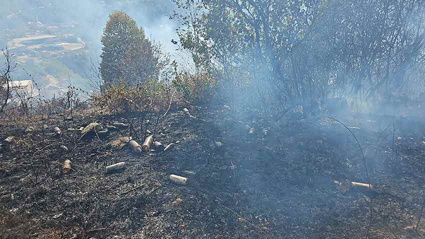 Whats App Image 2025 09 03 At 15.54.50 (1)