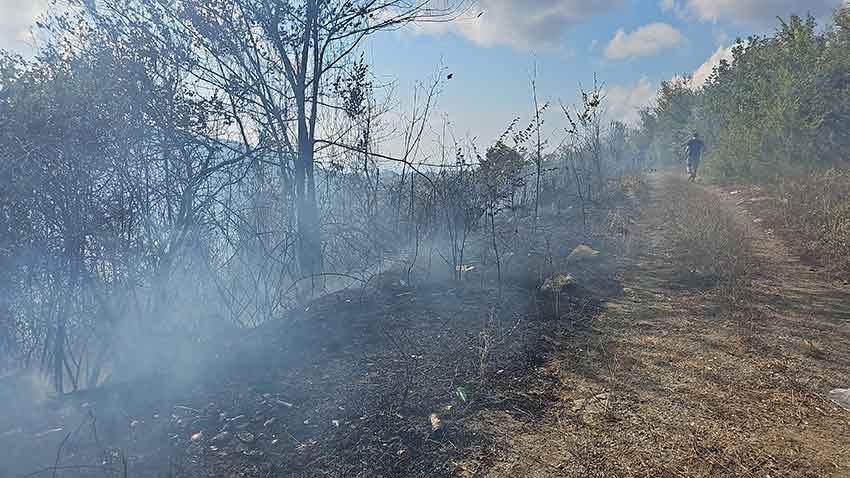 Whats App Image 2025 09 03 At 15.54.50