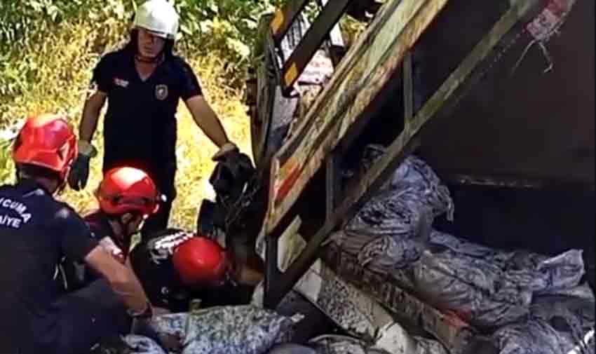 Whats App Image 2025 09 03 At 20.14.59