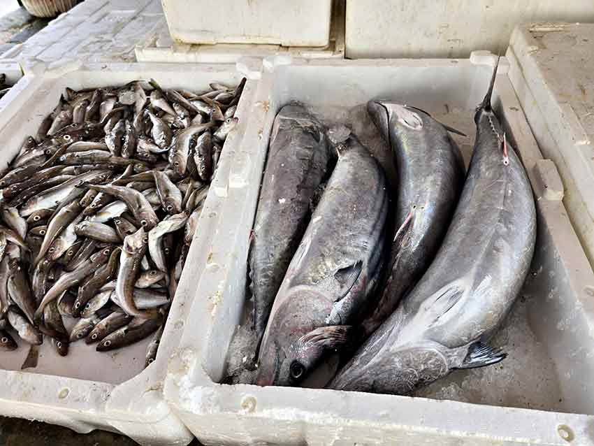 Whats App Image 2025 09 06 At 11.36.00