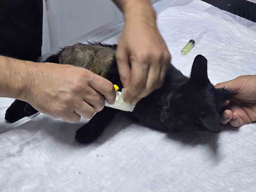 Whats App Image 2025 09 09 At 12.33.39 (1)