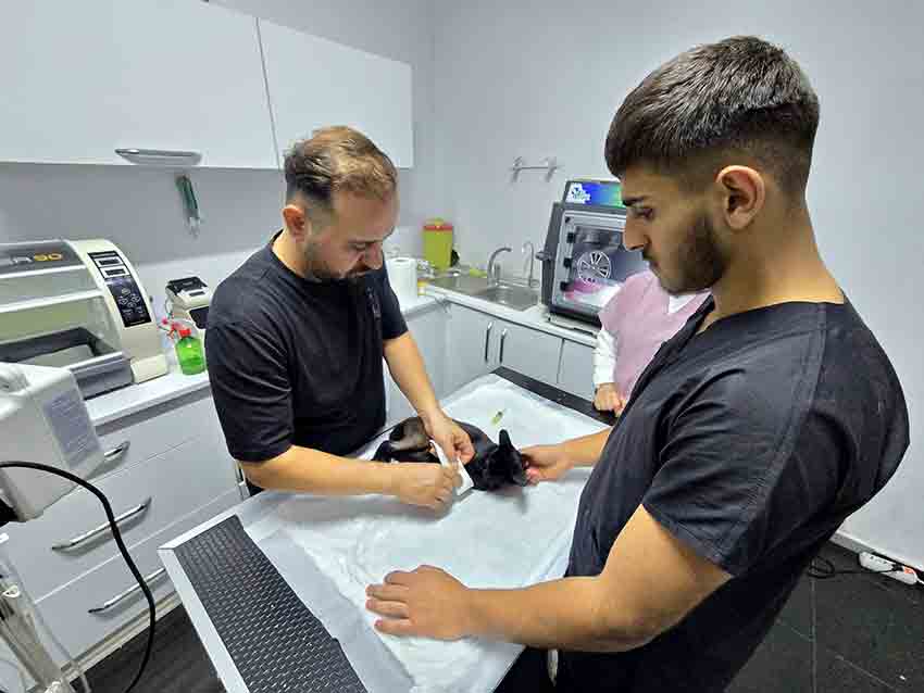 Whats App Image 2025 09 09 At 12.33.40