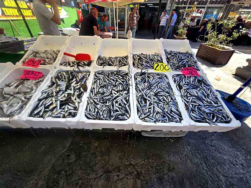 Whats App Image 2025 09 12 At 15.14.03 (1)