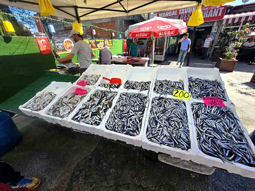 Whats App Image 2025 09 12 At 15.14.04