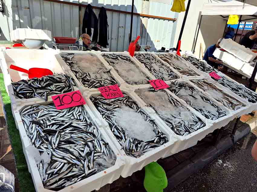 Whats App Image 2025 09 16 At 10.25.45