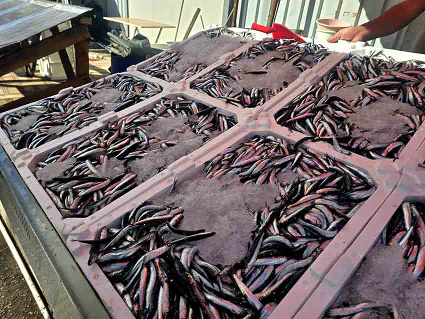 Whats App Image 2025 09 16 At 10.25.46 (1)