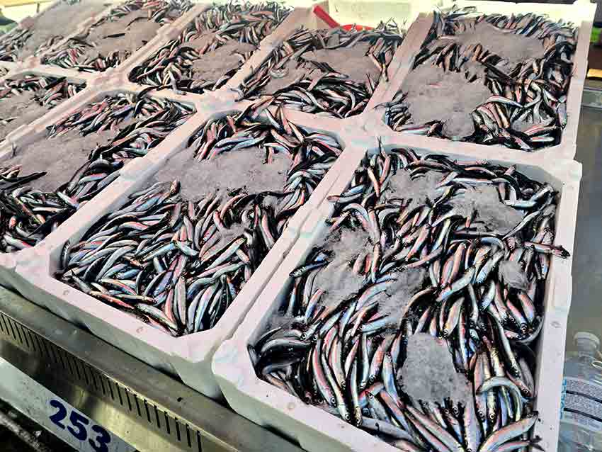 Whats App Image 2025 09 16 At 10.25.46